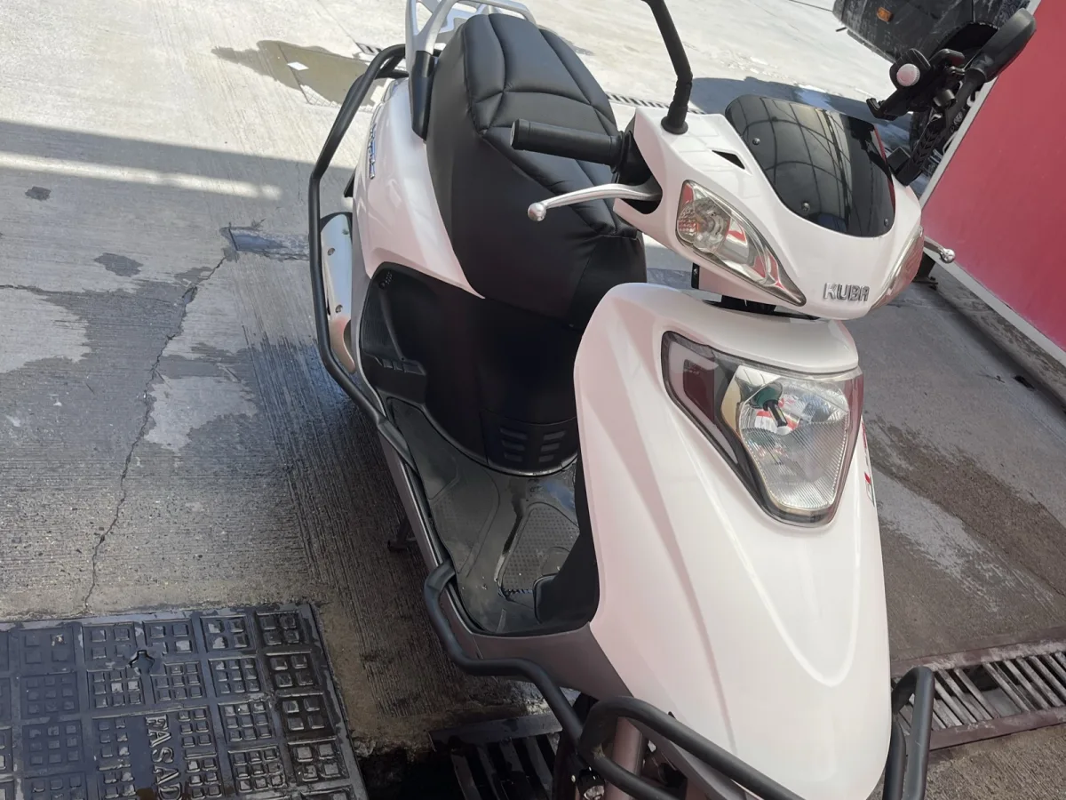 Vn50pro Küba 2024
